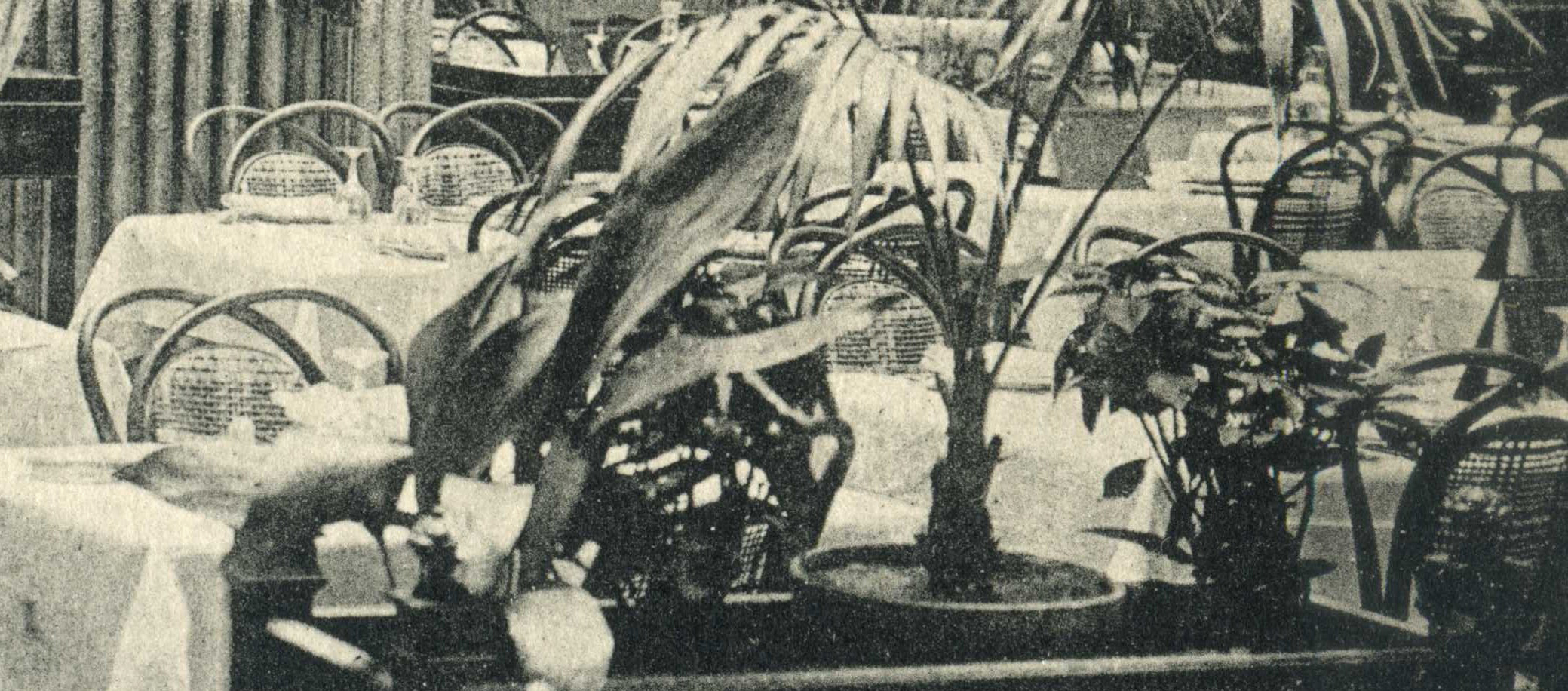 8 Perpignan hall del gran hotel Kohn rattan d