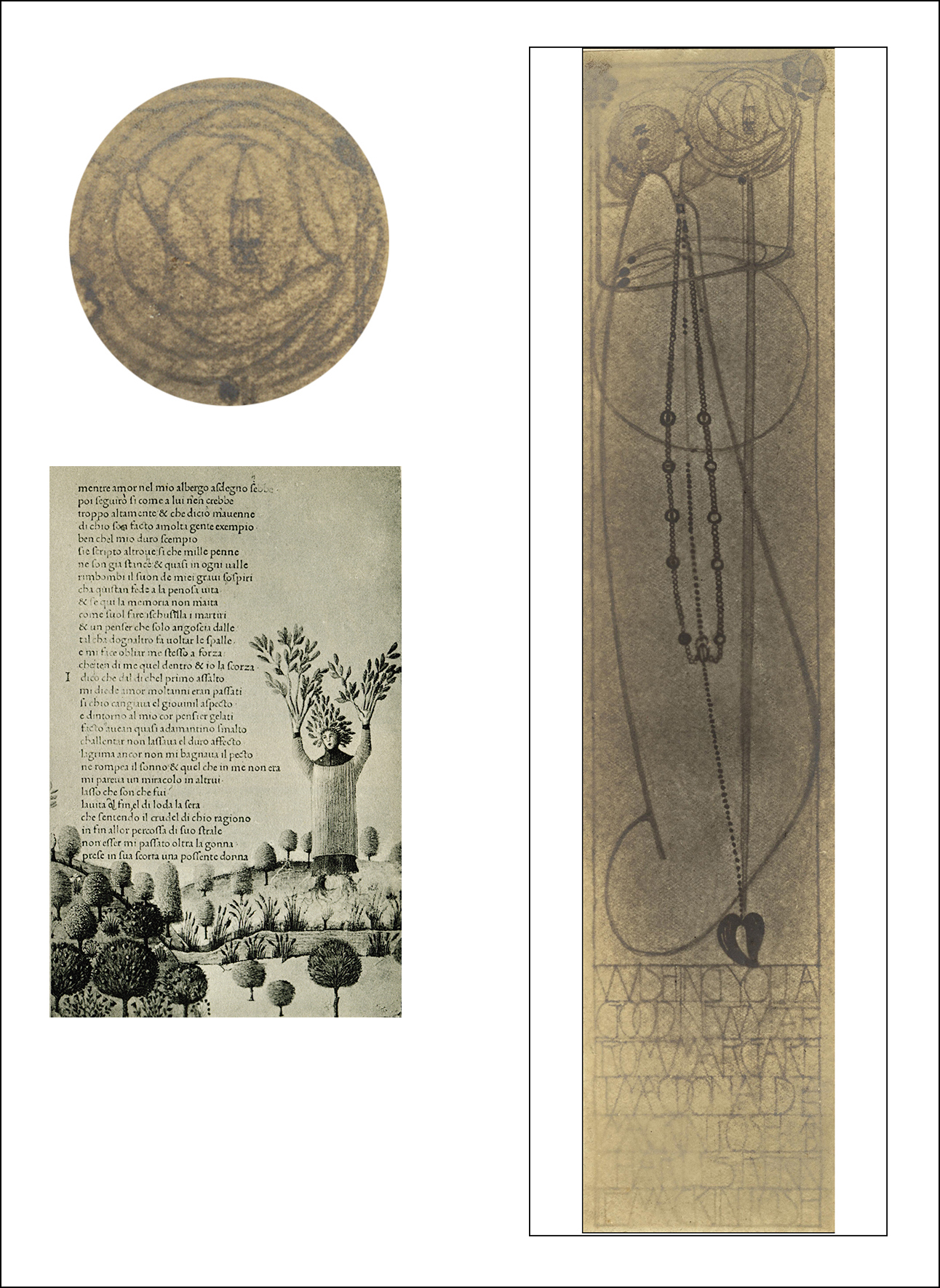 CRM transformado en laurel b